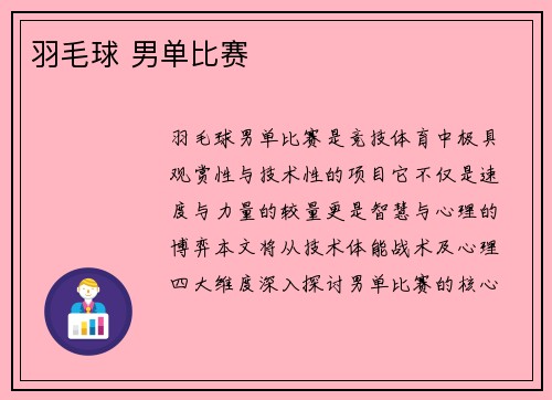 羽毛球 男单比赛